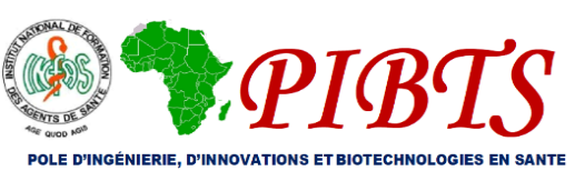 Logo PIBTS